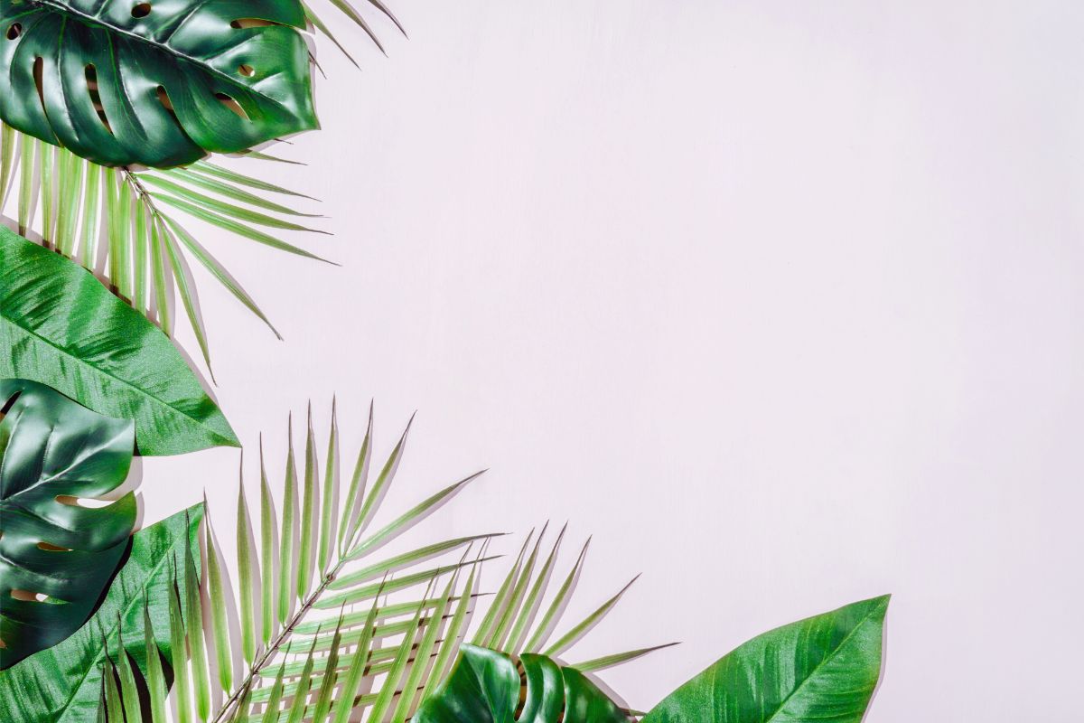 papier peint jungle